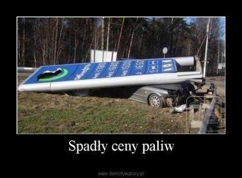 padly_ceny_paliv_320.jpg