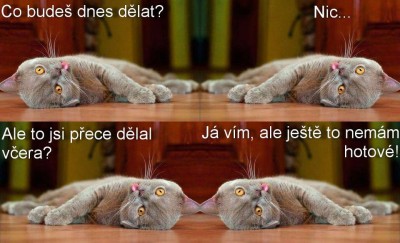 co_budes_dnes_delat.jpg