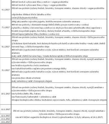 Deník - návratovka.jpg